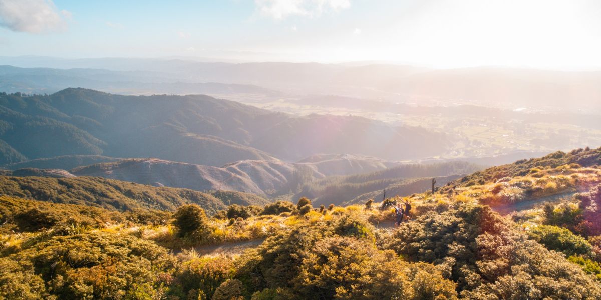 View of Upper Hutt.jpg