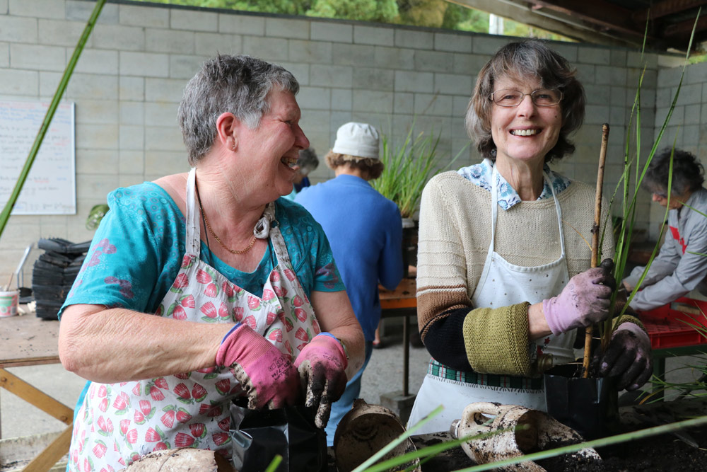 Two women planting