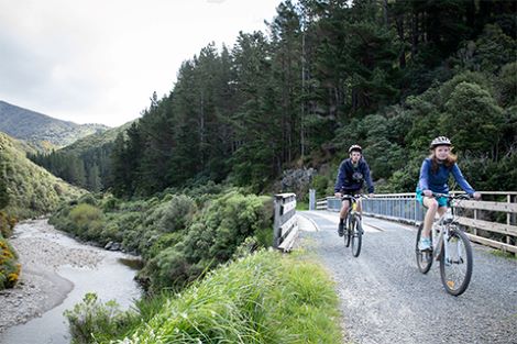 Cyclists on remutaka cycle trail